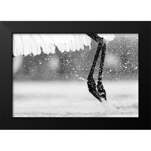 Taking Off Black Modern Wood Framed Art Print by Zuo, Jun