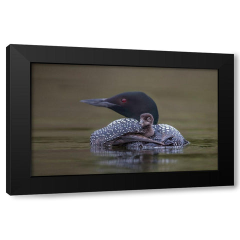 Back Seat Black Modern Wood Framed Art Print by Barsh, Greg