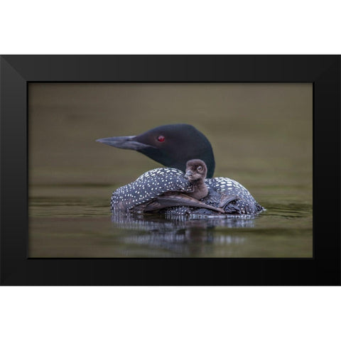 Back Seat Black Modern Wood Framed Art Print by Barsh, Greg