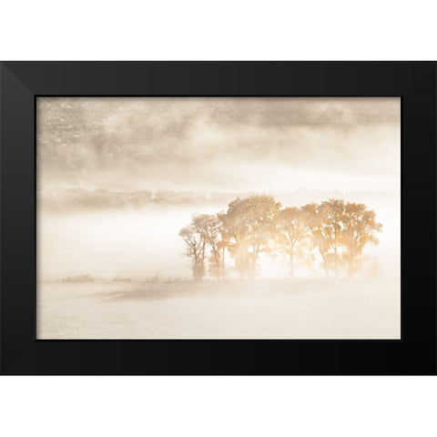 Autumn Dreams Black Modern Wood Framed Art Print by Fan, John