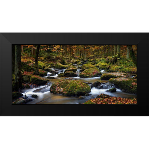 Autumn Waters Black Modern Wood Framed Art Print by Maier, Norbert