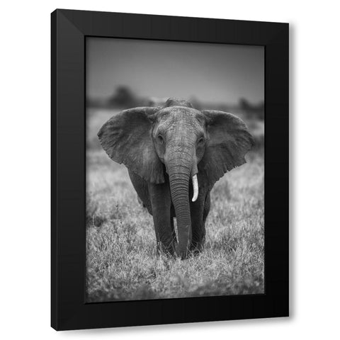 Singularity Black Modern Wood Framed Art Print by Marx, Jaco