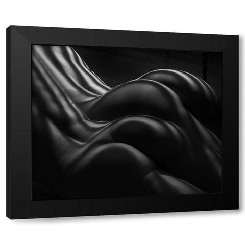 Female Zebra Stripes Black Modern Wood Framed Art Print with Double Matting by Dixon, Colin