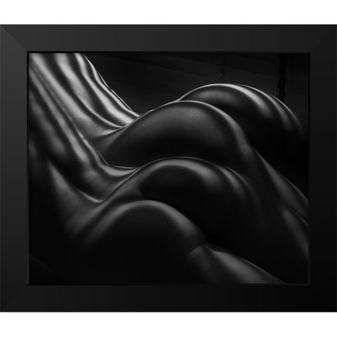 Female Zebra Stripes Black Modern Wood Framed Art Print by Dixon, Colin