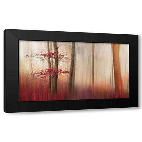 Red Leaves. Black Modern Wood Framed Art Print with Double Matting by Londal, Leif