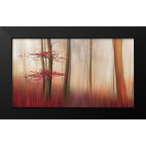 Red Leaves. Black Modern Wood Framed Art Print by Londal, Leif