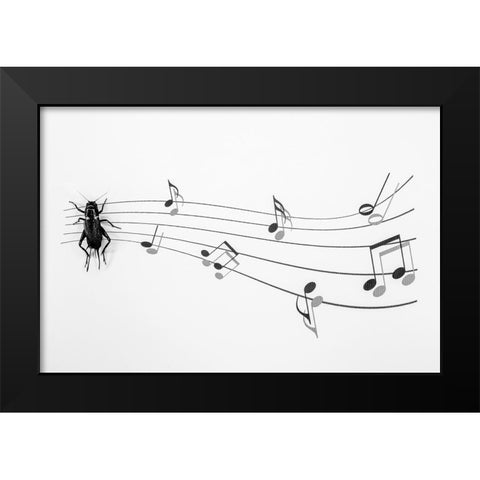 The Music Of Nature Black Modern Wood Framed Art Print by Mallus, Stefano