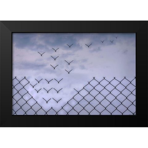 Donaat Fence Me In! Black Modern Wood Framed Art Print by Emanuelson, Bjorn