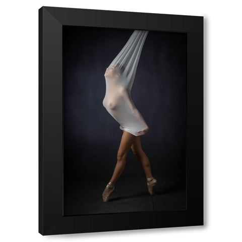 Sheer Stretch Black Modern Wood Framed Art Print with Double Matting by Catchlight Studio