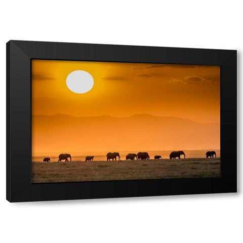 Sunrise Over Amboseli Black Modern Wood Framed Art Print with Double Matting by C. Sink, Jeffrey