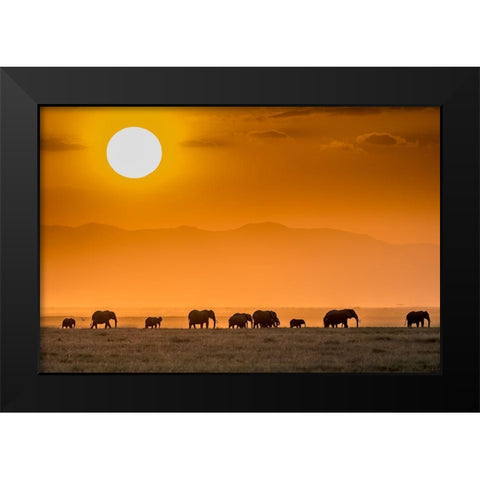 Sunrise Over Amboseli Black Modern Wood Framed Art Print by C. Sink, Jeffrey