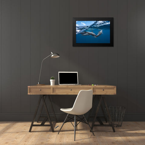 Dolphins Black Modern Wood Framed Art Print by Gabriel, Barathieu