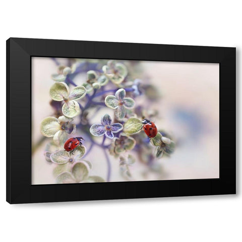 Fragile Black Modern Wood Framed Art Print with Double Matting by Van Deelen, Ellen