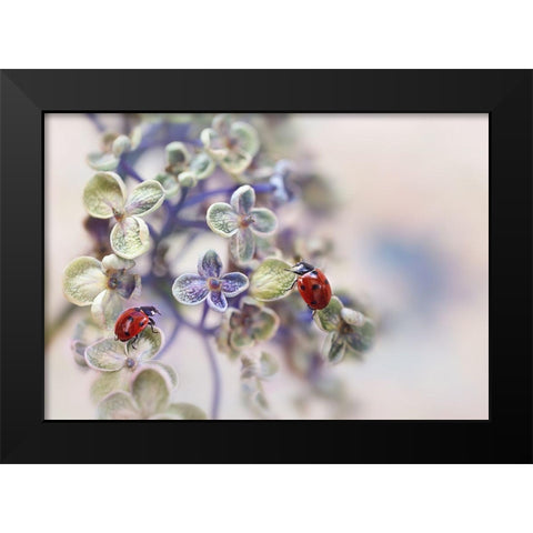 Fragile Black Modern Wood Framed Art Print by Van Deelen, Ellen