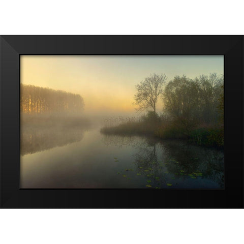 Natures Painting Black Modern Wood Framed Art Print by Borggreve, Ellen