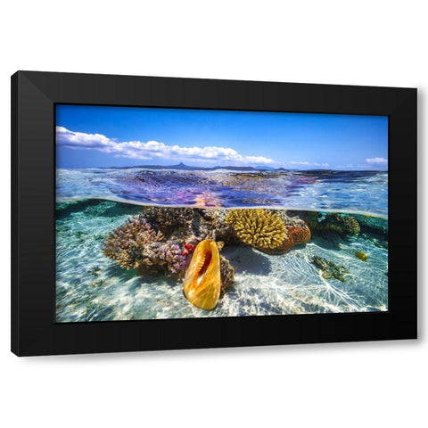 Lagoon Life Black Modern Wood Framed Art Print by Gabriel, Barathieu