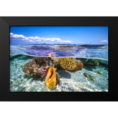 Lagoon Life Black Modern Wood Framed Art Print by Gabriel, Barathieu
