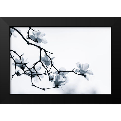 The White Queen Black Modern Wood Framed Art Print by Eom, Gwangseop