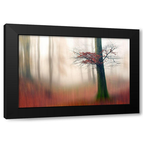 Red Leaves And The Hidden Path. Black Modern Wood Framed Art Print with Double Matting by Londal, Leif