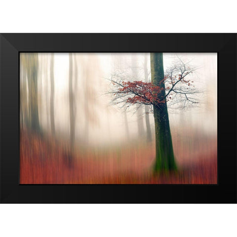 Red Leaves And The Hidden Path. Black Modern Wood Framed Art Print by Londal, Leif