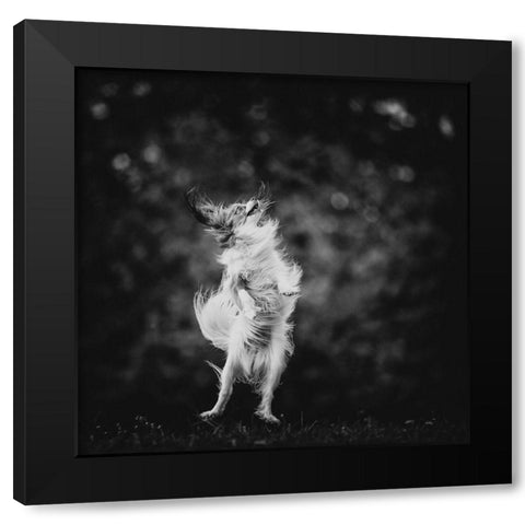 ...Joyfulness... Black Modern Wood Framed Art Print by Gerec, Pali