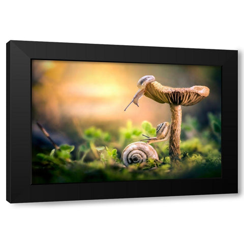 The Awakening Of Snails Black Modern Wood Framed Art Print with Double Matting by Ghizzi Panizza, Alberto