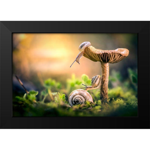 The Awakening Of Snails Black Modern Wood Framed Art Print by Ghizzi Panizza, Alberto