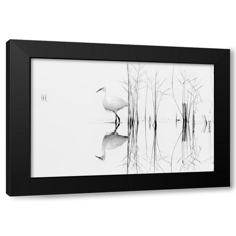 White Black Modern Wood Framed Art Print with Double Matting by Planinski, Zhecho