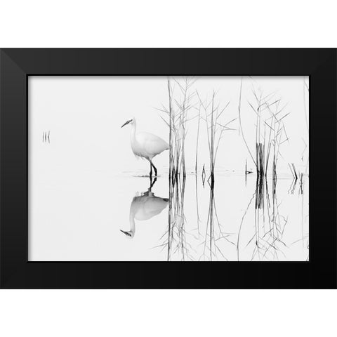 White Black Modern Wood Framed Art Print by Planinski, Zhecho