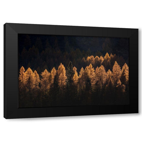 Light For A Few Black Modern Wood Framed Art Print with Double Matting by Manzoni, Michel