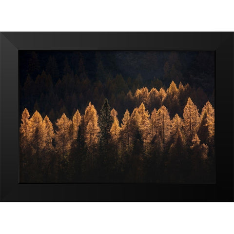 Light For A Few Black Modern Wood Framed Art Print by Manzoni, Michel