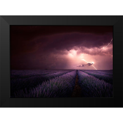 Lavender Fragrance Black Modern Wood Framed Art Print by Schumacher, Nicolas