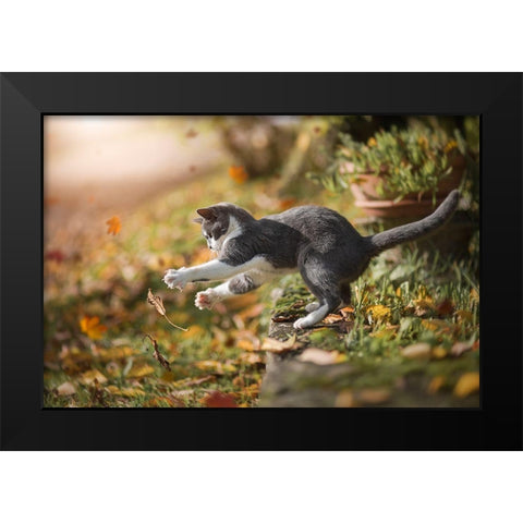 Autumn Play Black Modern Wood Framed Art Print by Dejana