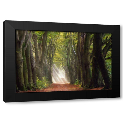 A Glorious Day Black Modern Wood Framed Art Print with Double Matting by Borggreve, Ellen
