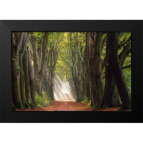 A Glorious Day Black Modern Wood Framed Art Print by Borggreve, Ellen