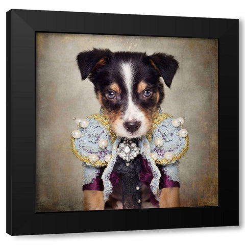 Shelter Pets Project - Loki Black Modern Wood Framed Art Print by Swarek, Tammy