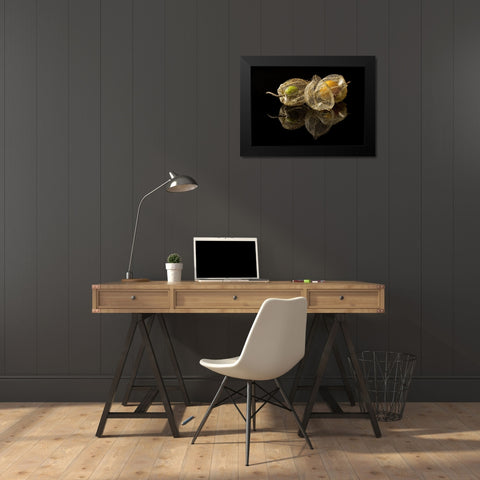 Physalis Alkekengi L. Black Modern Wood Framed Art Print by Gaberkosir