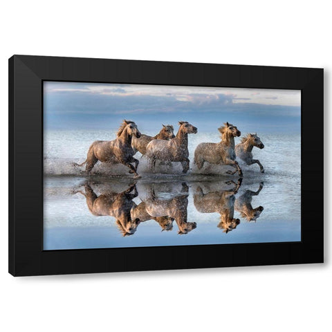 Horses And Reflection Black Modern Wood Framed Art Print with Double Matting by Ortega, Xavier