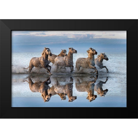 Horses And Reflection Black Modern Wood Framed Art Print by Ortega, Xavier