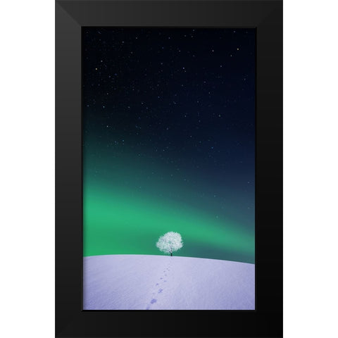 Apple Black Modern Wood Framed Art Print by Hamiti, Bess