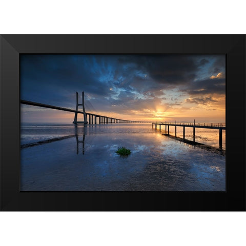 P H Y S I C A L Black Modern Wood Framed Art Print by Resende, Carlos