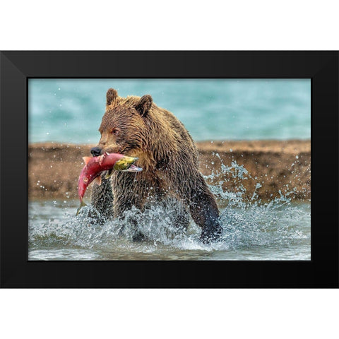 Fishing - Kamchatka-Russia Black Modern Wood Framed Art Print by Damico, Giuseppe