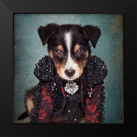 Shelter Pets Project - Loki Black Modern Wood Framed Art Print by Swarek, Tammy