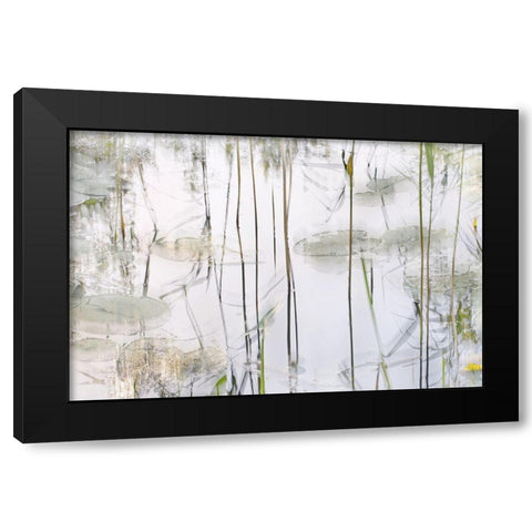 Lily Leaves Black Modern Wood Framed Art Print by Talen, Nel
