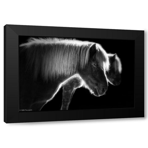 Two Beautiful Horses Black Modern Wood Framed Art Print with Double Matting by Keller, Nic