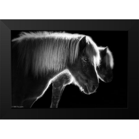 Two Beautiful Horses Black Modern Wood Framed Art Print by Keller, Nic