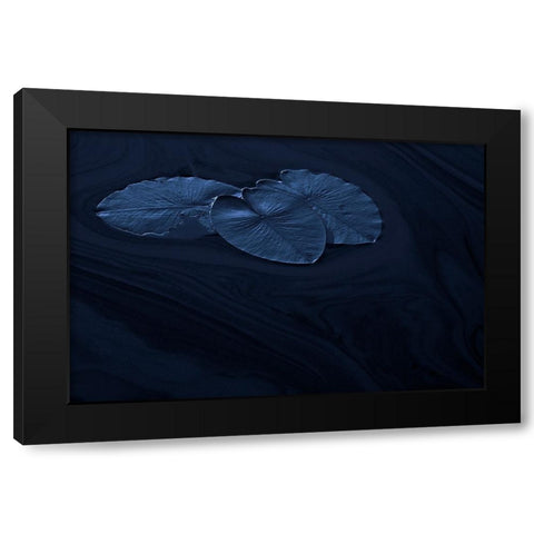 Leaf Black Modern Wood Framed Art Print with Double Matting by Wallberg, Allan