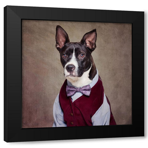 Shelter Pets Project - Petey Black Modern Wood Framed Art Print by Swarek, Tammy