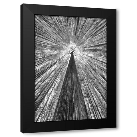 The Giant Black Modern Wood Framed Art Print by Casanova, Francois