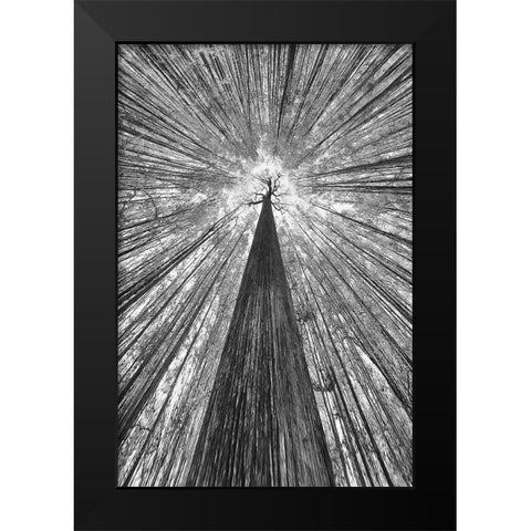 The Giant Black Modern Wood Framed Art Print by Casanova, Francois